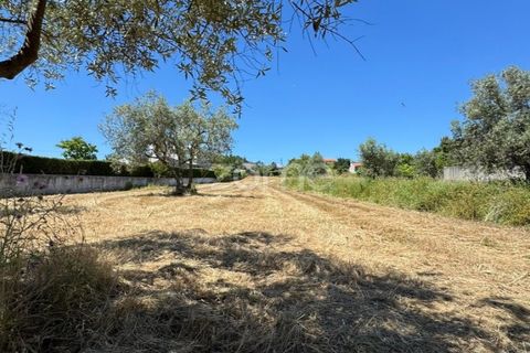 Helårsgrund i Coimbra, Coimbra, Coimbra - € 52.500 | Ref: ZMPT590021 - foto 3
