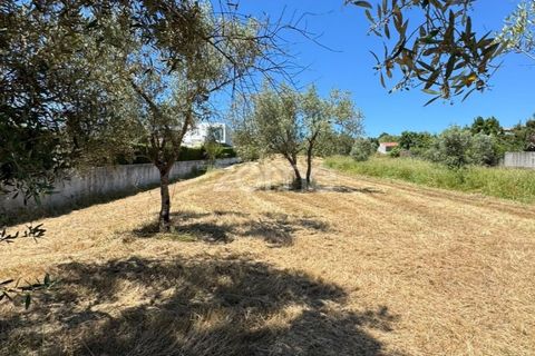 Helårsgrund i Coimbra, Coimbra, Coimbra - € 52.500 | Ref: ZMPT590021 - foto 4