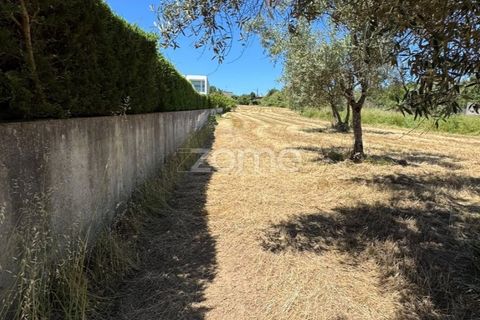 Helårsgrund i Coimbra, Coimbra, Coimbra - € 52.500 | Ref: ZMPT590021 - foto 5