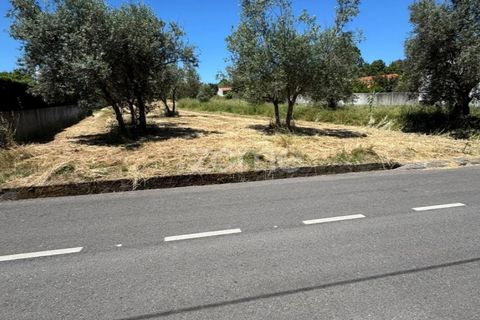 Helårsgrund i Coimbra, Coimbra, Coimbra - € 52.500 | Ref: ZMPT590021 - foto 6