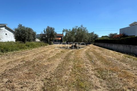 Helårsgrund i Coimbra, Coimbra, Coimbra - € 52.500 | Ref: ZMPT590021 - foto 7