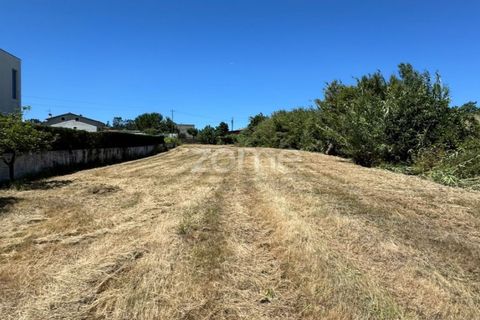 Helårsgrund i Coimbra, Coimbra, Coimbra - € 52.500 | Ref: ZMPT590021 - foto 8