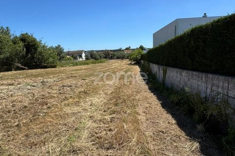 Helårsgrund i Coimbra, Coimbra, Coimbra - € 52.500 | Ref: ZMPT590021 - foto 9