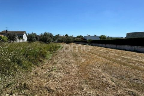 Helårsgrund i Coimbra, Coimbra, Coimbra - € 52.500 | Ref: ZMPT590021 - foto 10
