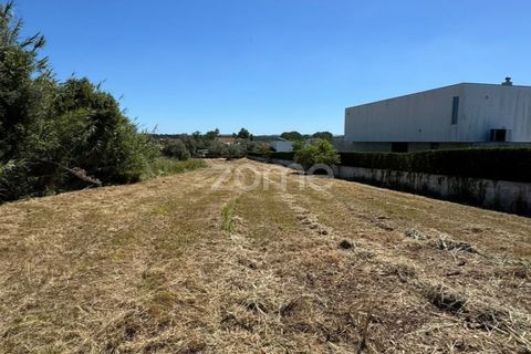 Helårsgrund i Coimbra, Coimbra, Coimbra - € 52.500 | Ref: ZMPT590021 - foto 11