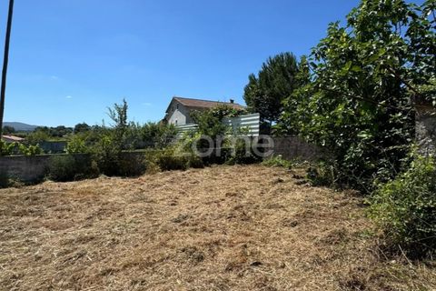 Helårsgrund i Coimbra, Coimbra, Coimbra - € 52.500 | Ref: ZMPT590021 - foto 12