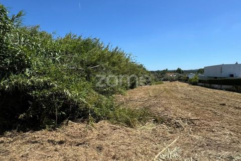 Helårsgrund i Coimbra, Coimbra, Coimbra - € 52.500 | Ref: ZMPT590021 - foto 13