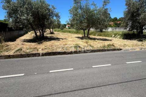 Helårsgrund i Coimbra, Coimbra, Coimbra - € 52.500 | Ref: ZMPT590021 - foto 14