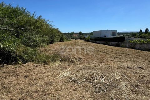 Helårsgrund i Coimbra, Coimbra, Coimbra - € 52.500 | Ref: ZMPT590021 - foto 15