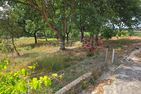 Villa a Tabua, Coimbra, Tabua - € 238.000 | Ref: RR99431 - foto 23