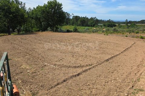 Villa a Tabua, Coimbra, Tabua - € 238.000 | Ref: RR99431 - foto 29