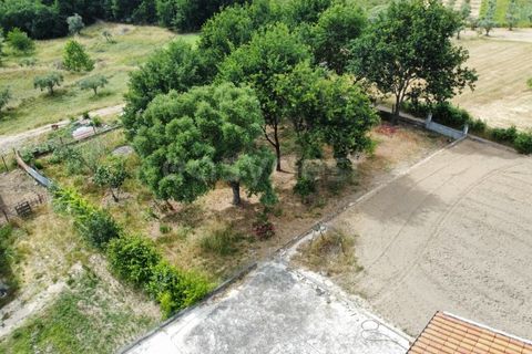 Villa a Tabua, Coimbra, Tabua - € 238.000 | Ref: RR99431 - foto 39