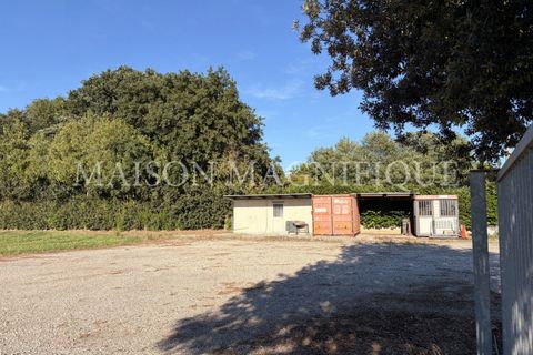 Helårsgrund i Lagosanto, Ferrara, Lagosanto - € 50.000 | Ref: 07TR005 - foto 5