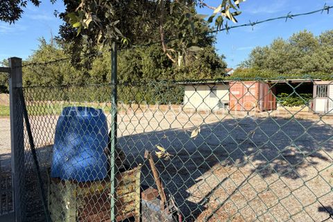 Helårsgrund i Lagosanto, Ferrara, Lagosanto - € 50.000 | Ref: 07TR005 - foto 6