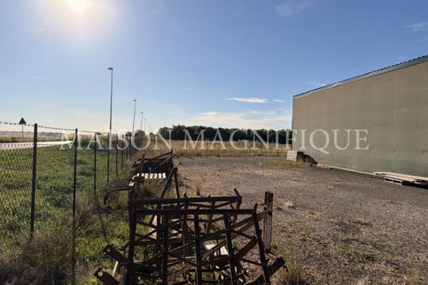 Helårsgrund i Lagosanto, Ferrara, Lagosanto - € 50.000 | Ref: 07TR005 - foto 8