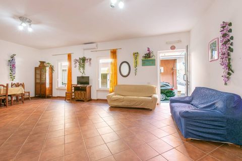 L'establiment comercial a Ardea, Rome, Ardea - € 800/mes | Ref: 1001-756 - foto 7