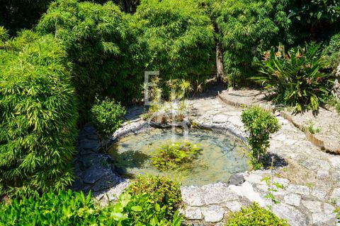 Villa i Mougins, Alpes-Maritimes, Mougins - € 1.890.000 | Ref: 87056119 - foto 27
