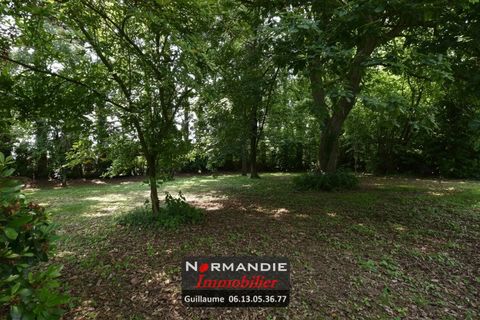 Villa em Doudeville, Seine-Maritime, Doudeville - € 159.000 | Ref: 87119035 - foto 6