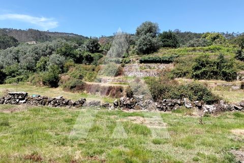 Helårsgrund i Ponte de Lima, Viana do Castelo, Ponte de Lima - € 87.500 | Ref: 1350317/26VC - foto 2