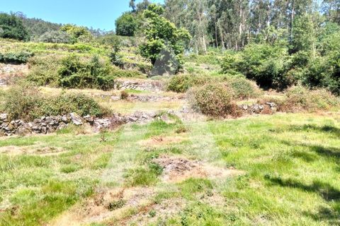Helårsgrund i Ponte de Lima, Viana do Castelo, Ponte de Lima - € 87.500 | Ref: 1350317/26VC - foto 3