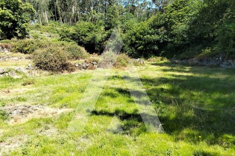 Helårsgrund i Ponte de Lima, Viana do Castelo, Ponte de Lima - € 87.500 | Ref: 1350317/26VC - foto 5