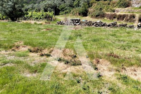 Helårsgrund i Ponte de Lima, Viana do Castelo, Ponte de Lima - € 87.500 | Ref: 1350317/26VC - foto 6