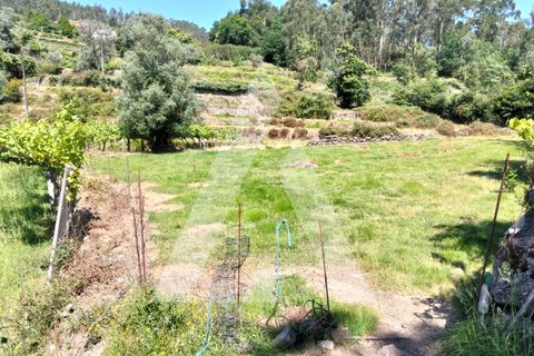 Helårsgrund i Ponte de Lima, Viana do Castelo, Ponte de Lima - € 87.500 | Ref: 1350317/26VC - foto 7