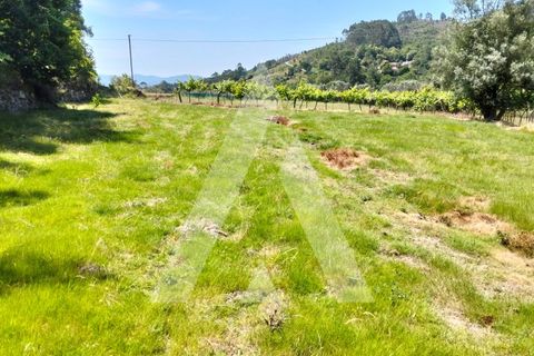 Helårsgrund i Ponte de Lima, Viana do Castelo, Ponte de Lima - € 87.500 | Ref: 1350317/26VC - foto 8