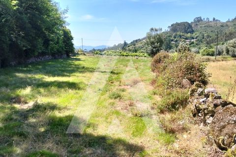 Helårsgrund i Ponte de Lima, Viana do Castelo, Ponte de Lima - € 87.500 | Ref: 1350317/26VC - foto 9