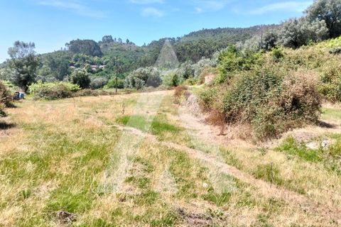 Helårsgrund i Ponte de Lima, Viana do Castelo, Ponte de Lima - € 87.500 | Ref: 1350317/26VC - foto 10