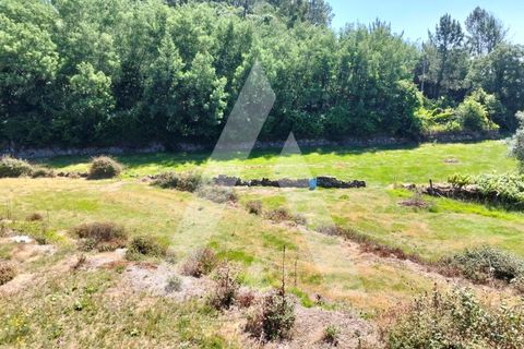 Helårsgrund i Ponte de Lima, Viana do Castelo, Ponte de Lima - € 87.500 | Ref: 1350317/26VC - foto 11
