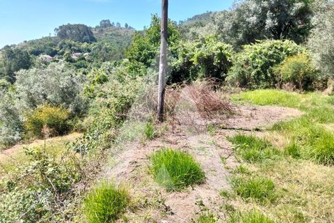 Helårsgrund i Ponte de Lima, Viana do Castelo, Ponte de Lima - € 87.500 | Ref: 1350317/26VC - foto 12