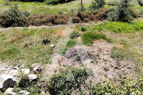 Helårsgrund i Ponte de Lima, Viana do Castelo, Ponte de Lima - € 87.500 | Ref: 1350317/26VC - foto 13