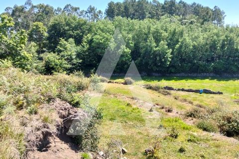 Helårsgrund i Ponte de Lima, Viana do Castelo, Ponte de Lima - € 87.500 | Ref: 1350317/26VC - foto 14