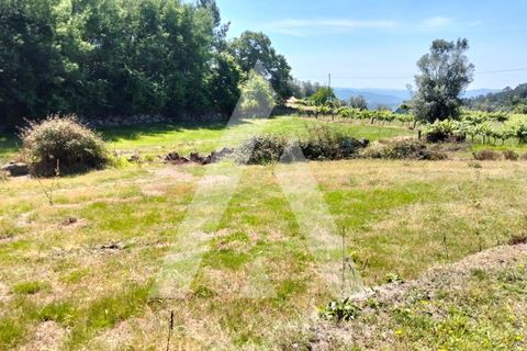 Helårsgrund i Ponte de Lima, Viana do Castelo, Ponte de Lima - € 87.500 | Ref: 1350317/26VC - foto 16