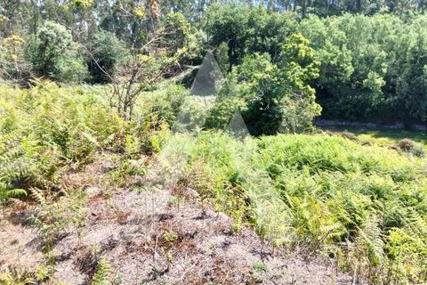 Helårsgrund i Ponte de Lima, Viana do Castelo, Ponte de Lima - € 87.500 | Ref: 1350317/26VC - foto 20