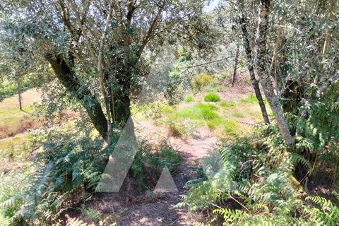 Helårsgrund i Ponte de Lima, Viana do Castelo, Ponte de Lima - € 87.500 | Ref: 1350317/26VC - foto 21