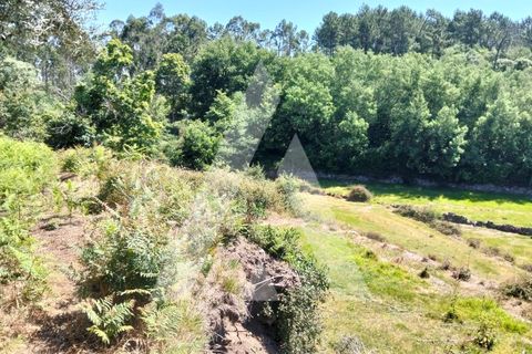 Helårsgrund i Ponte de Lima, Viana do Castelo, Ponte de Lima - € 87.500 | Ref: 1350317/26VC - foto 23