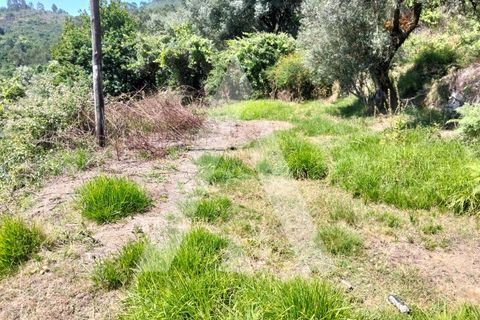 Helårsgrund i Ponte de Lima, Viana do Castelo, Ponte de Lima - € 87.500 | Ref: 1350317/26VC - foto 24