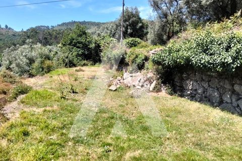 Helårsgrund i Ponte de Lima, Viana do Castelo, Ponte de Lima - € 87.500 | Ref: 1350317/26VC - foto 25