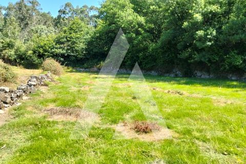 Helårsgrund i Ponte de Lima, Viana do Castelo, Ponte de Lima - € 87.500 | Ref: 1350317/26VC - foto 28