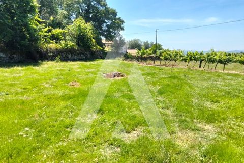 Helårsgrund i Ponte de Lima, Viana do Castelo, Ponte de Lima - € 87.500 | Ref: 1350317/26VC - foto 29