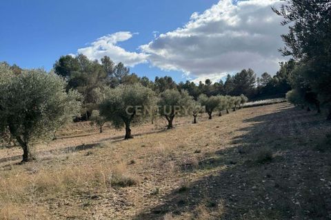 Helårsgrund i Ourem, Santarem, Ourem - € 130.000 | Ref: C0379-01052 - foto 3