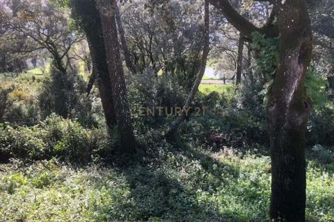 Helårsgrund i Ourem, Santarem, Ourem - € 130.000 | Ref: C0379-01052 - foto 5