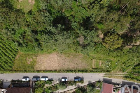 Helårsgrund i Coimbra, Coimbra, Coimbra - € 68.000 | Ref: 880361 - foto 7