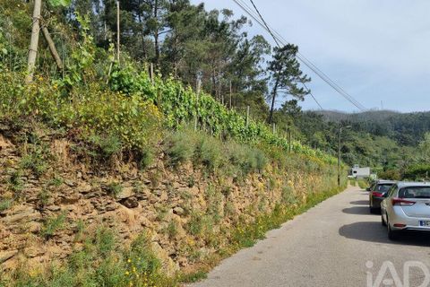 Helårsgrund i Coimbra, Coimbra, Coimbra - € 68.000 | Ref: 880361 - foto 12