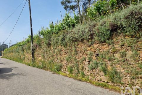 Helårsgrund i Coimbra, Coimbra, Coimbra - € 68.000 | Ref: 880361 - foto 16
