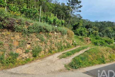 Helårsgrund i Coimbra, Coimbra, Coimbra - € 68.000 | Ref: 880361 - foto 17