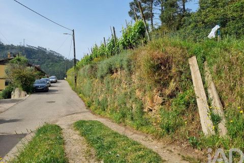 Helårsgrund i Coimbra, Coimbra, Coimbra - € 68.000 | Ref: 880361 - foto 19