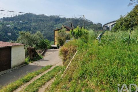 Helårsgrund i Coimbra, Coimbra, Coimbra - € 68.000 | Ref: 880361 - foto 20